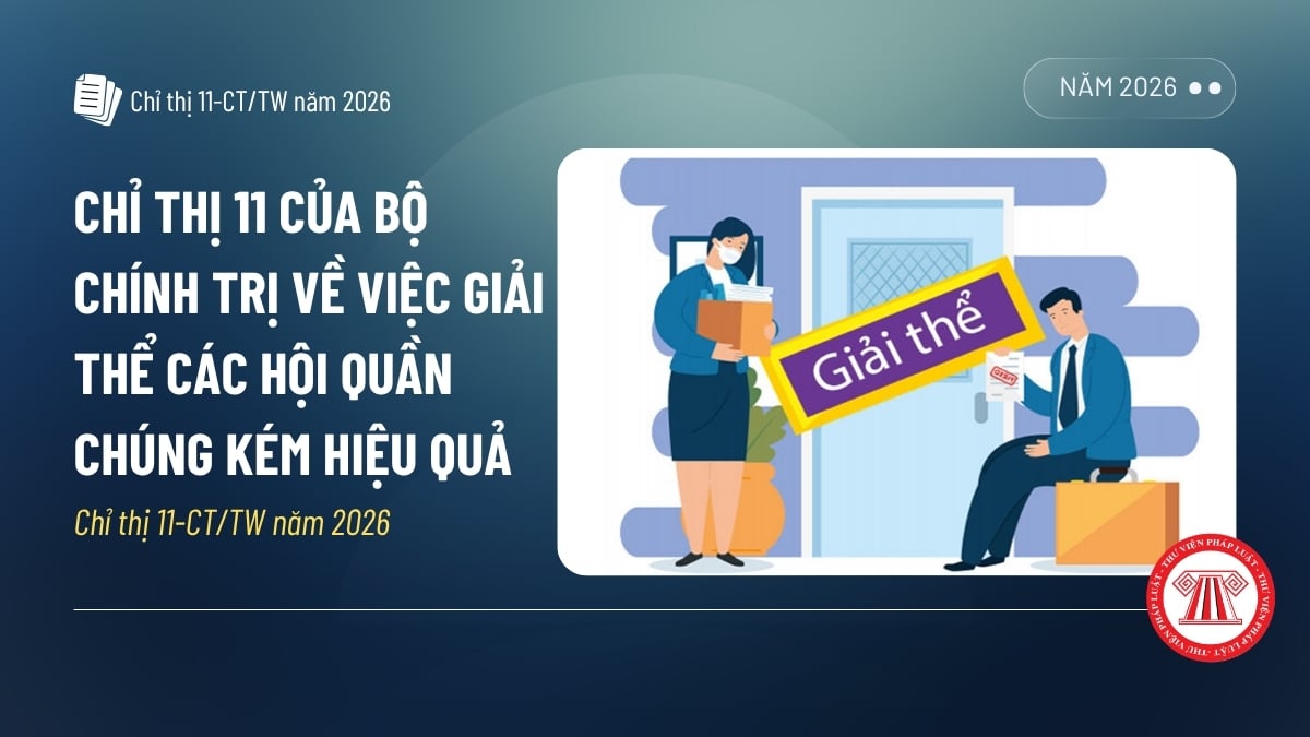 Pháp luật