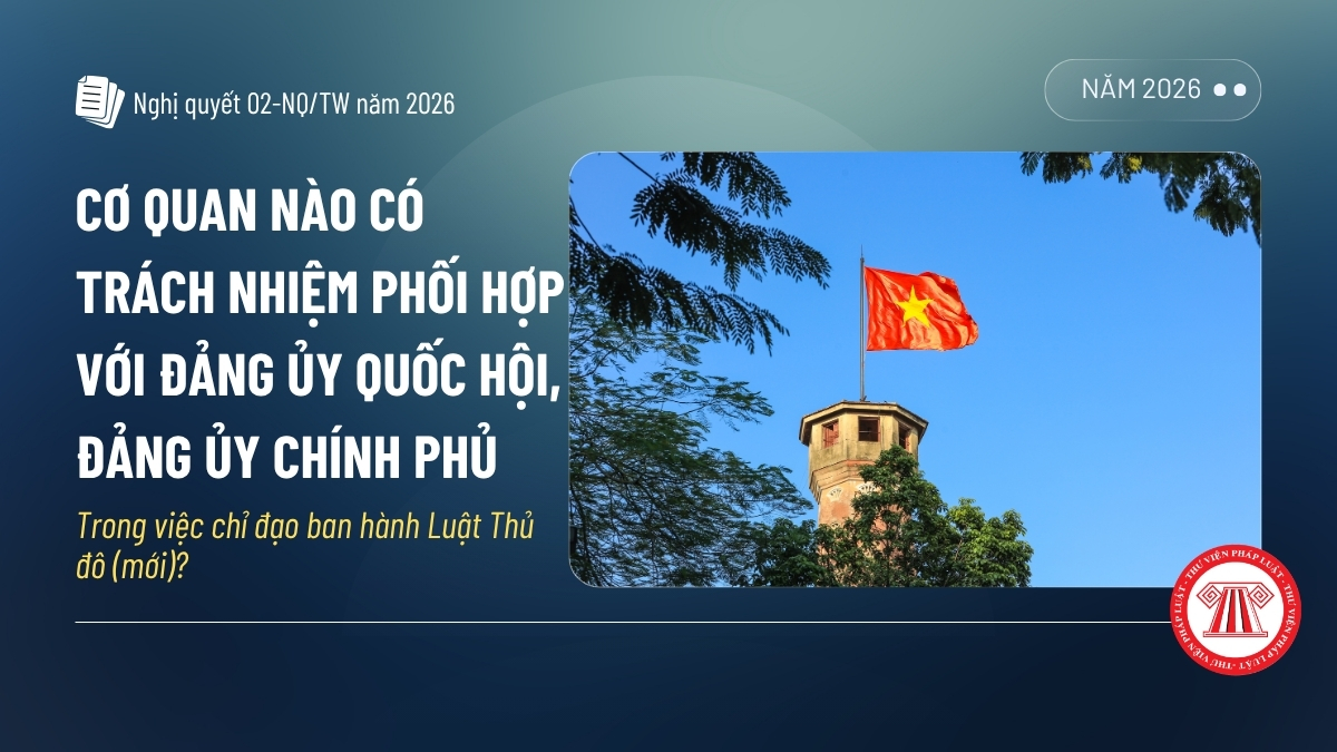 Pháp luật