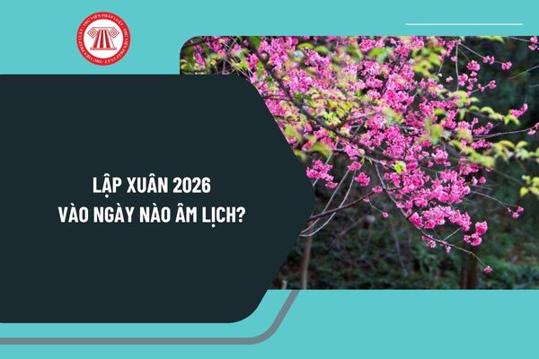 Pháp luật