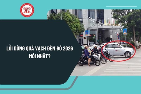 Pháp luật