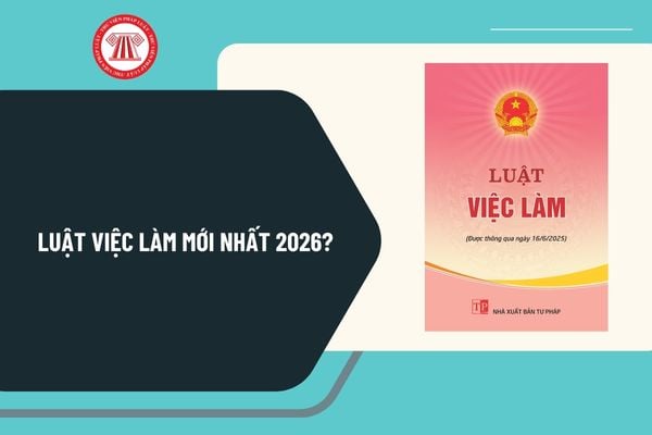 Pháp luật