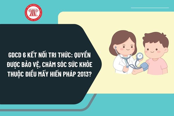 Pháp luật