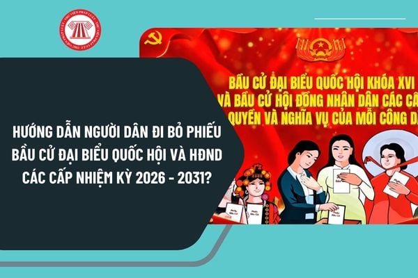 Pháp luật