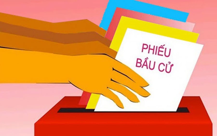 Pháp luật