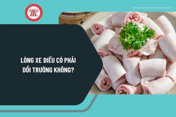 Pháp luật