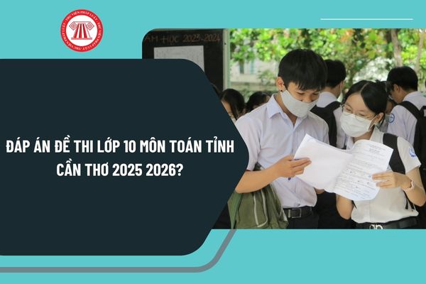 Pháp luật