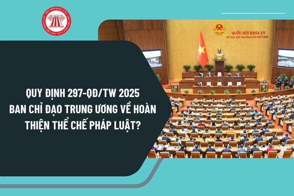 Pháp luật