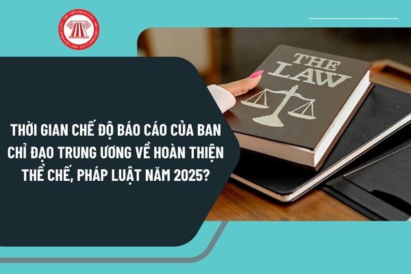 Pháp luật