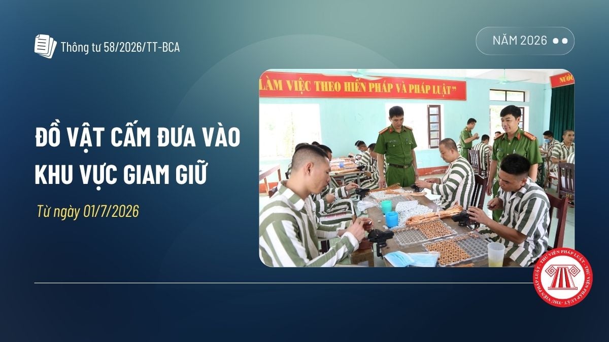 Pháp luật