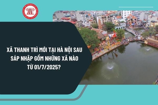 Pháp luật