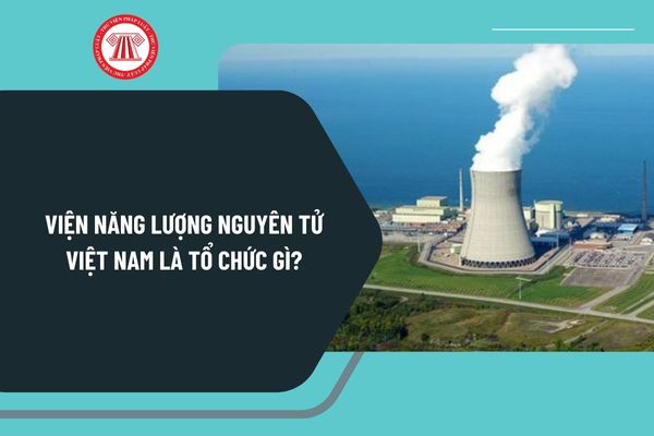 Pháp luật
