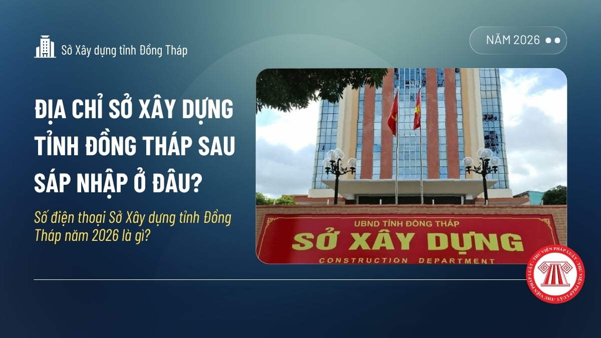 Pháp luật