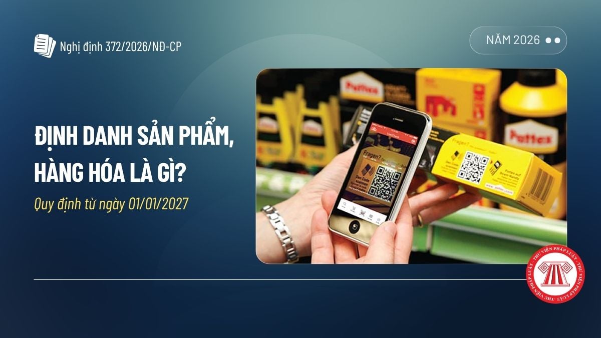 Pháp luật