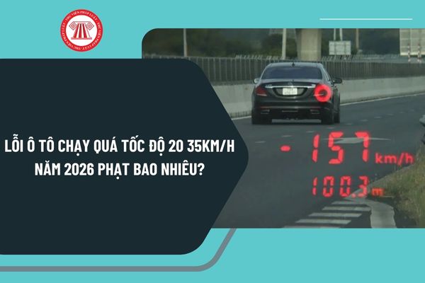 Pháp luật