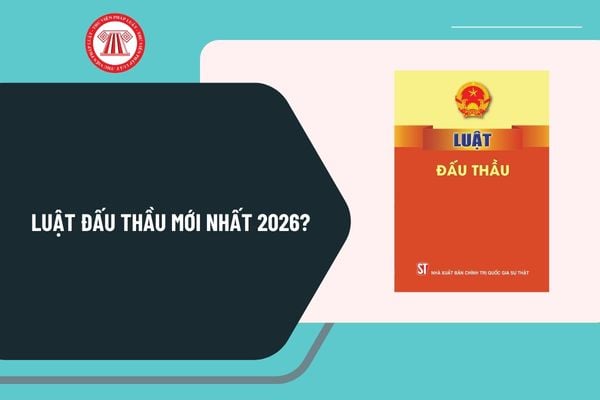 Pháp luật