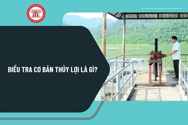 Pháp luật