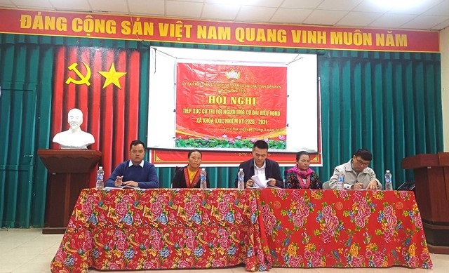 Pháp luật