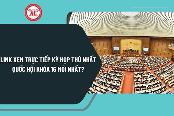 Link xem trực tiếp kỳ họp thứ nhất Quốc hội khóa 16 mới nhất? Xem kỳ họp thứ nhất Quốc hội khóa 16 kênh nào?