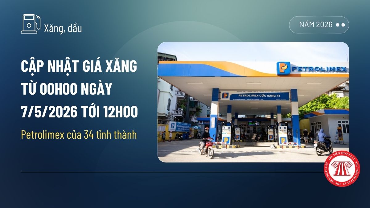 Pháp luật