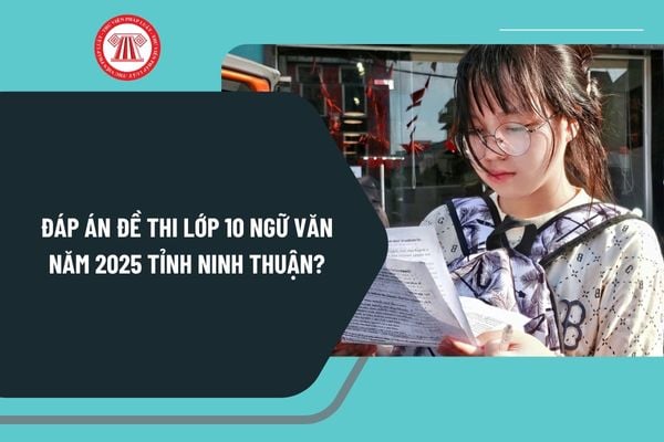 Pháp luật