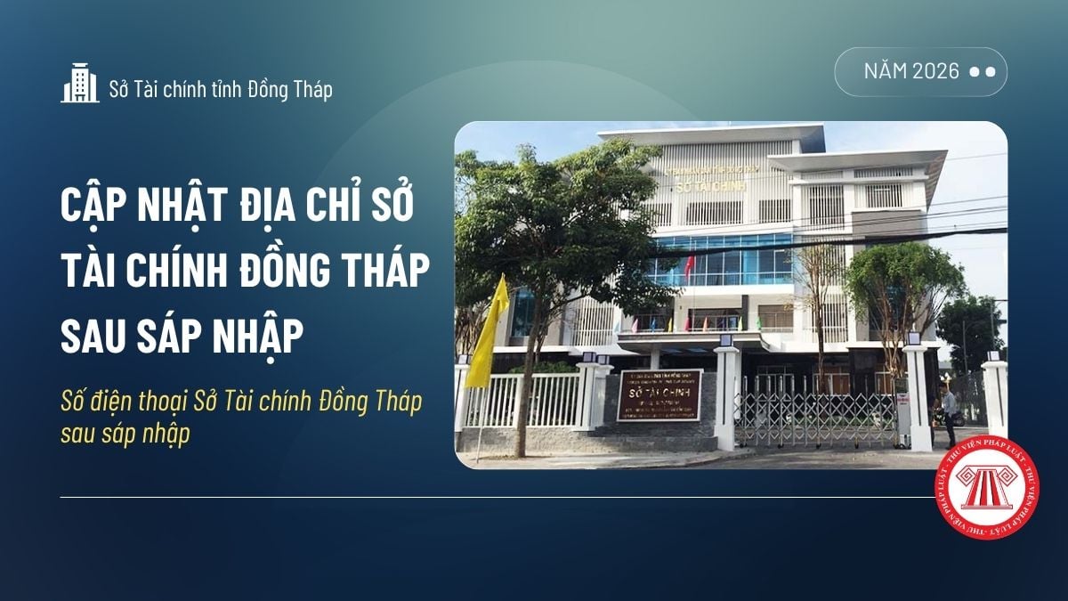 Pháp luật
