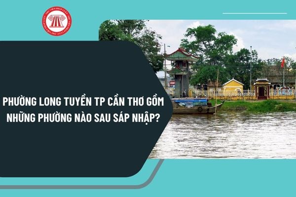 Pháp luật