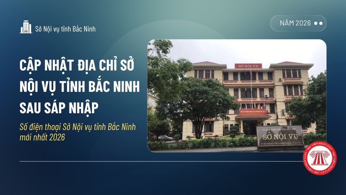Pháp luật