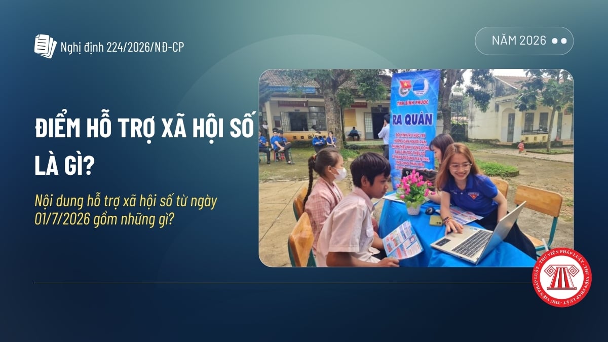 Pháp luật