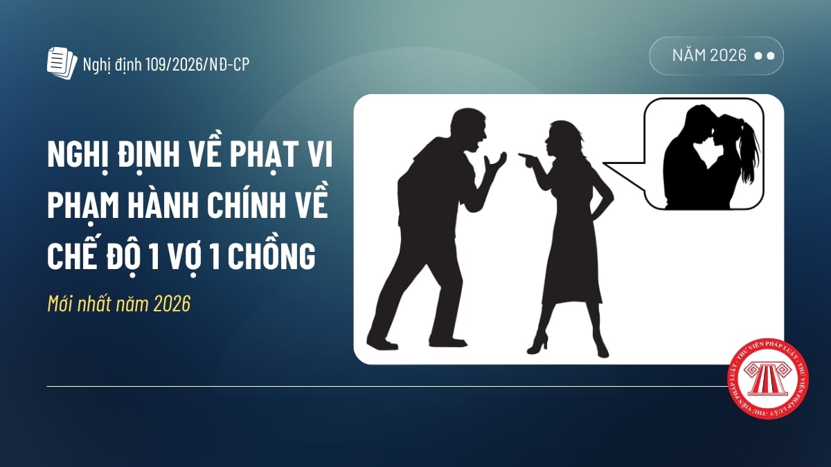 Pháp luật