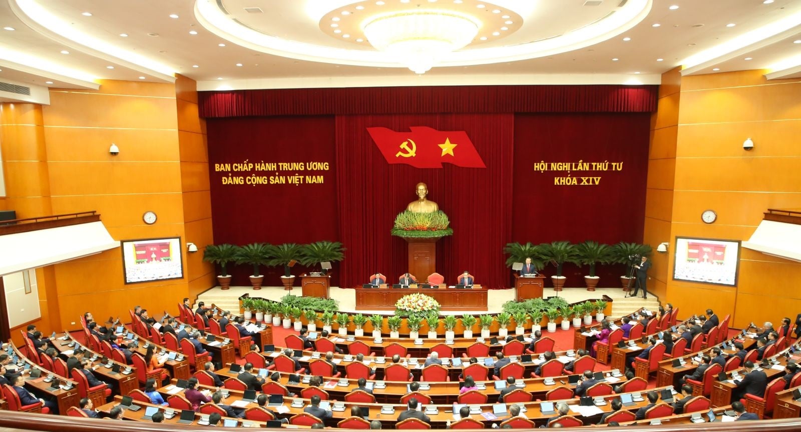 Pháp luật