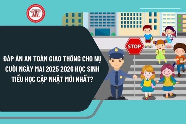 Pháp luật
