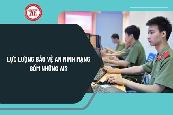 Pháp luật
