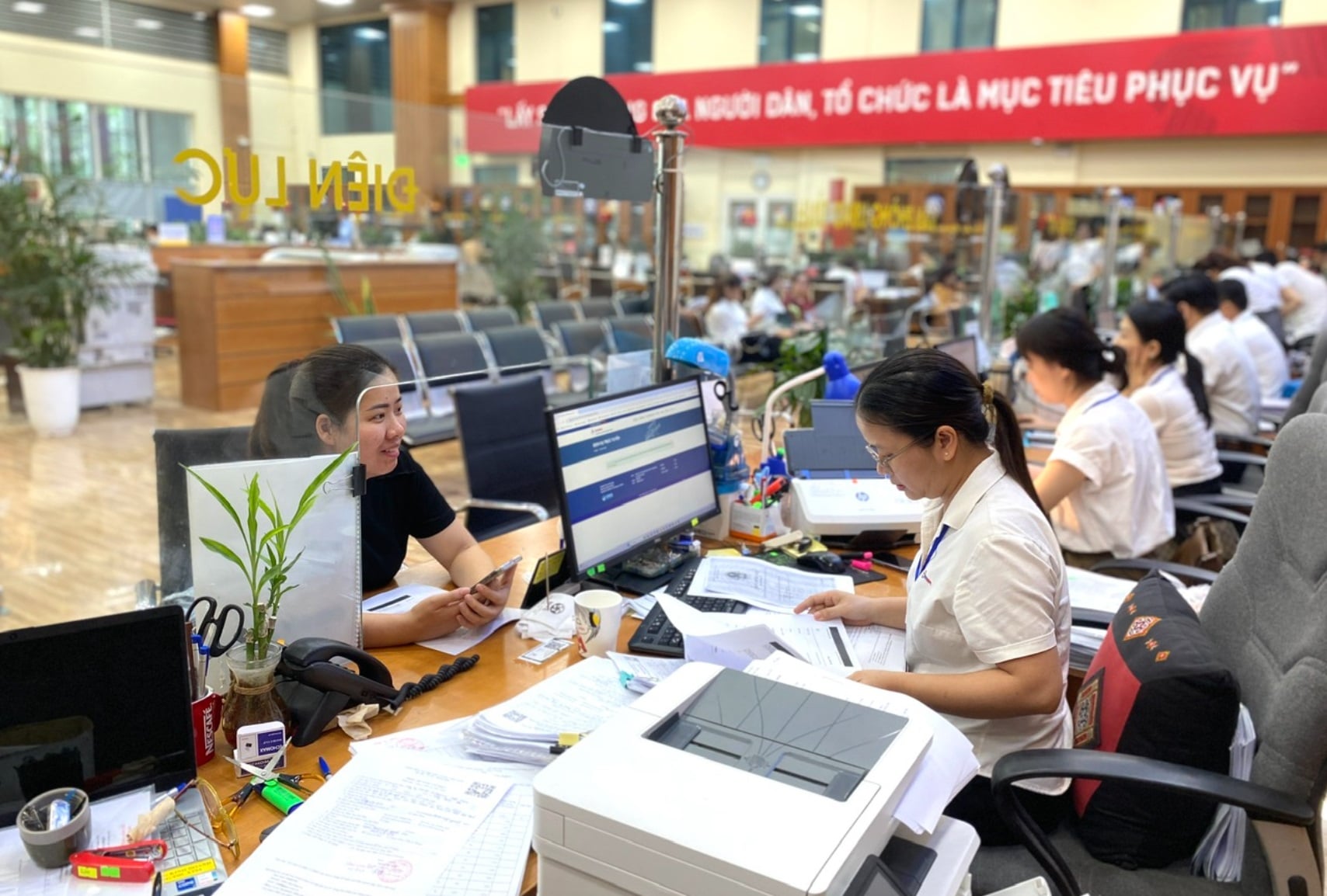 Pháp luật