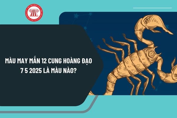 Pháp luật