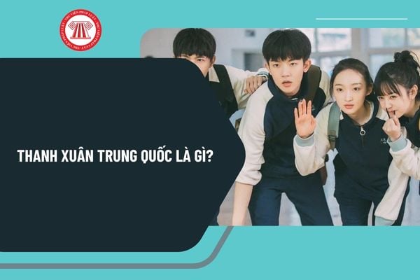 Pháp luật