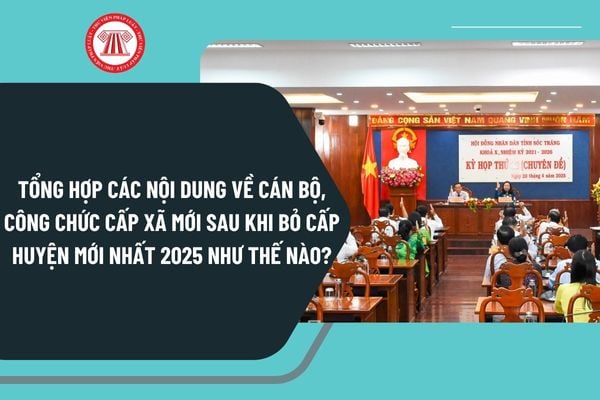 Pháp luật