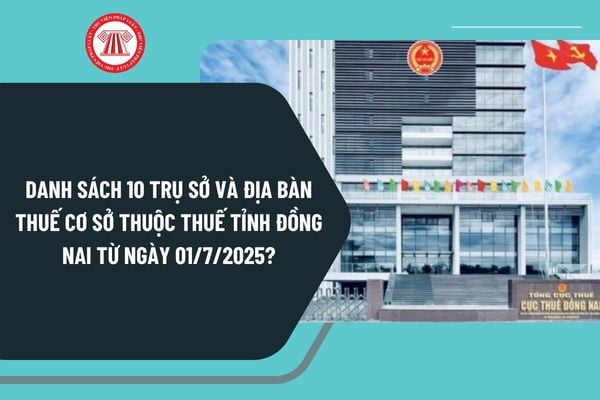 Pháp luật