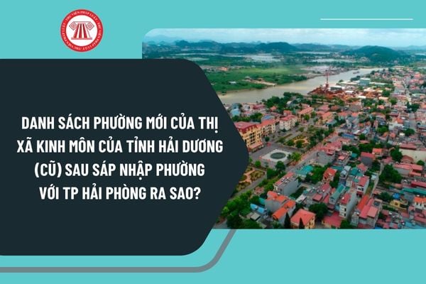 Pháp luật