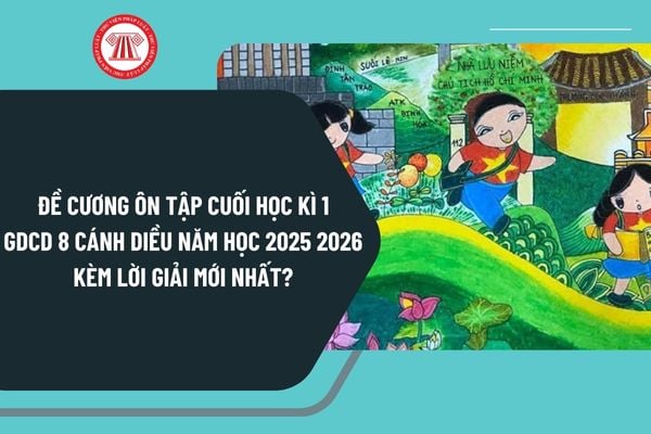 Pháp luật