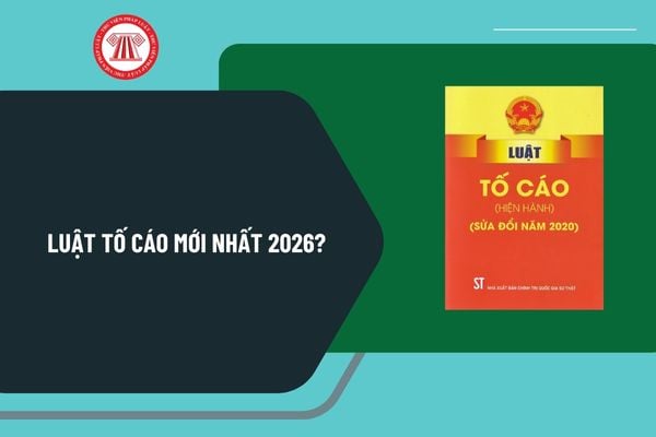 Pháp luật