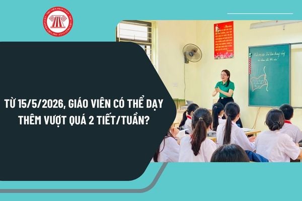 Pháp luật