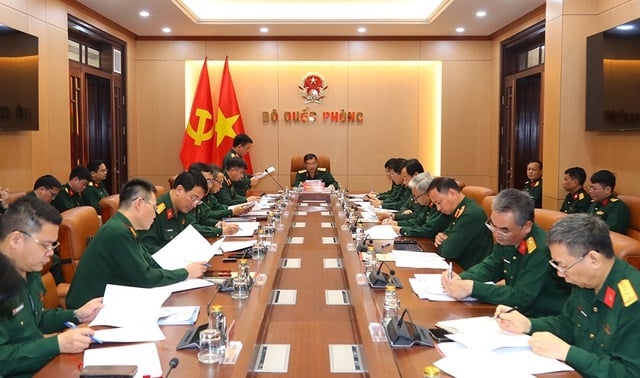 Pháp luật