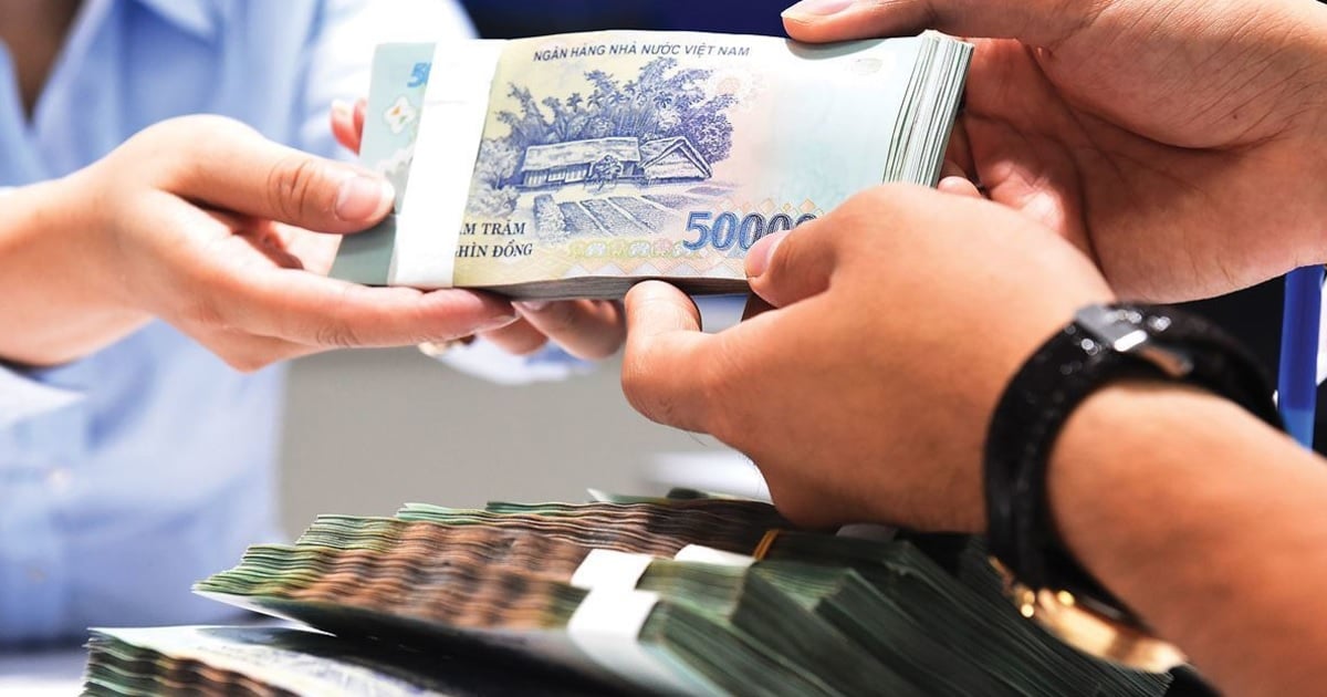 Pháp luật