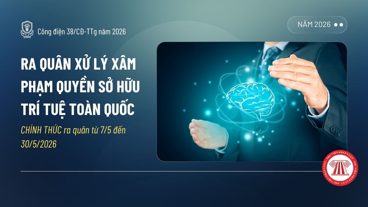Pháp luật