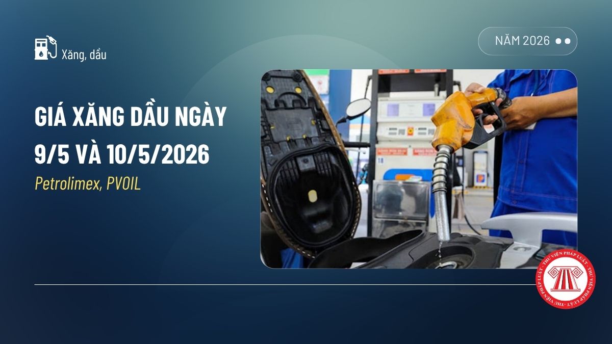 Pháp luật