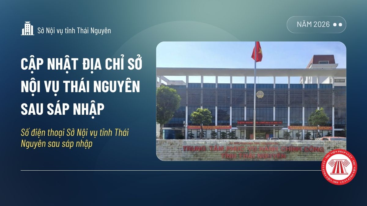Pháp luật