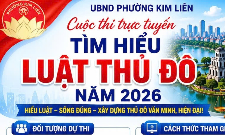 Pháp luật