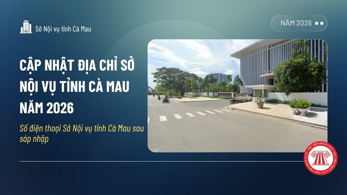 Pháp luật