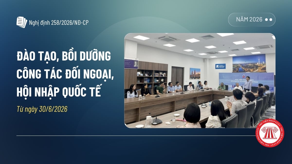 Pháp luật