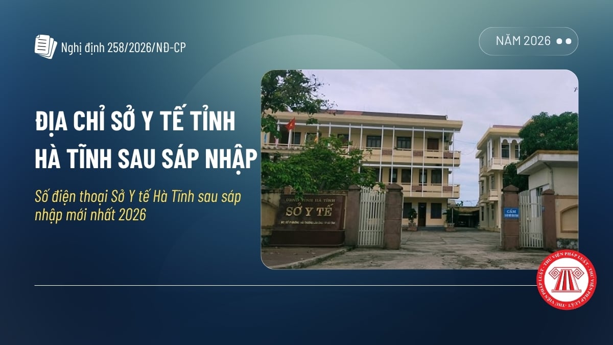 Pháp luật